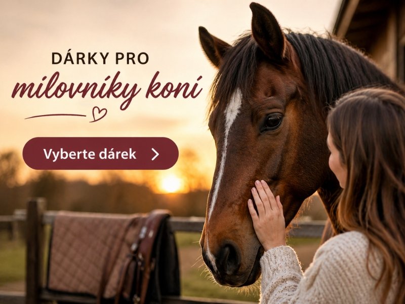 darky_pro_milovniky_koni2