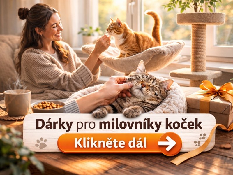 darek-pro-milovniky-kocek2