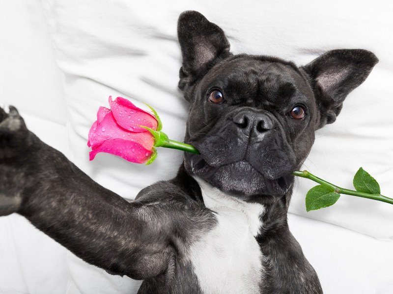       
          Vtipné valentýnské dárky, které neurazí (ani chlapa)
      