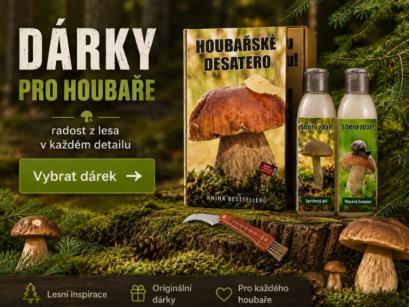 darky-pro-houbare1