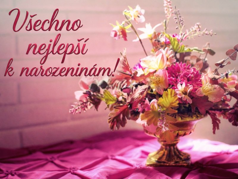       
          Co koupit k narozeninám (když vás vůbec nic nenapadá)
      