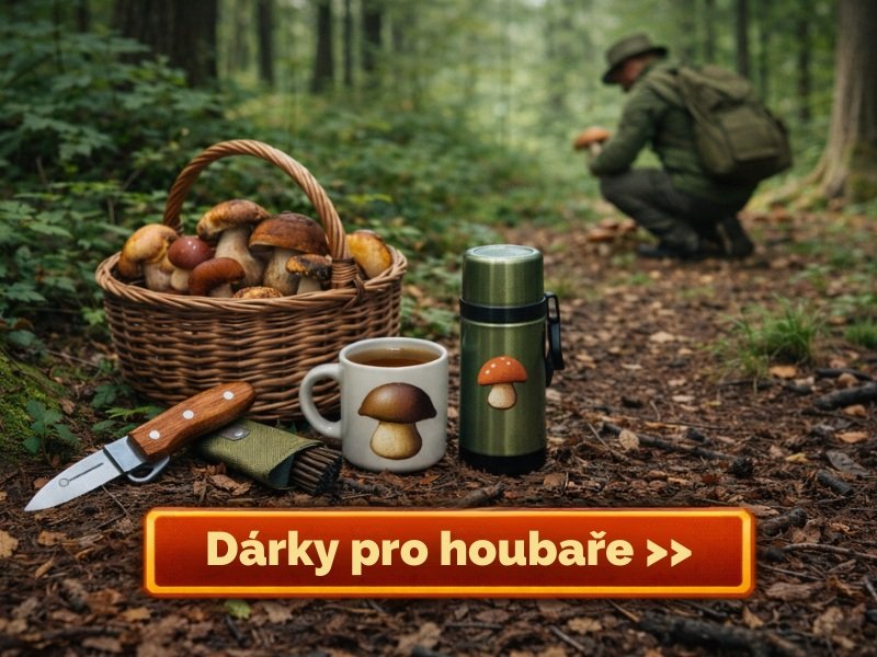 darky-pro-houbare-2