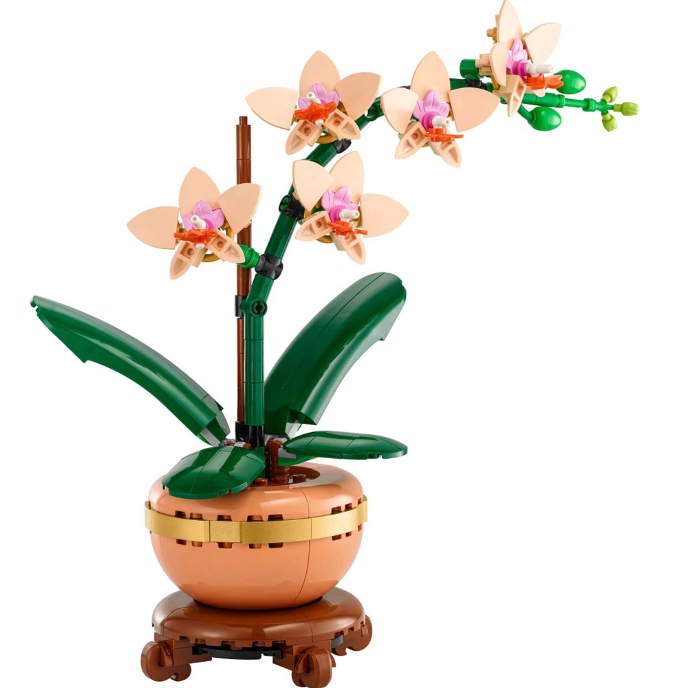 LEGO® Botanicals 10343 Miniaturní orchidej