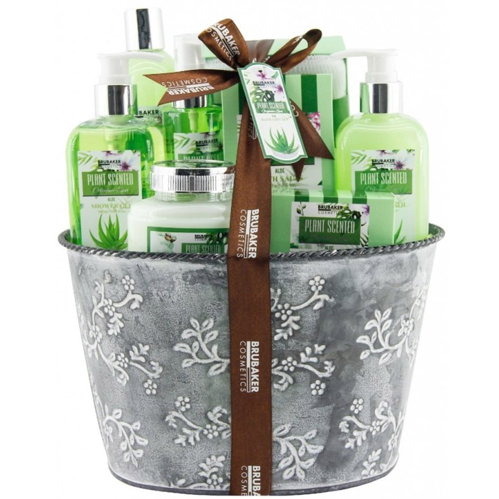 Darkova Kazeta V Kvetinaci Aloe Vera