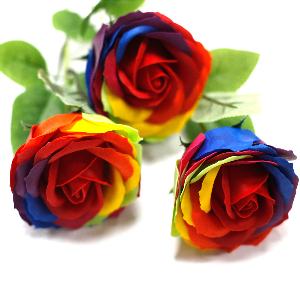 Mydlova Kvetina Duhova Ruze